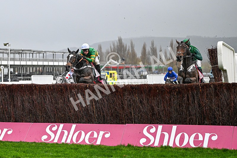 141125-Race 4-Jonbon-0383 - Race 4