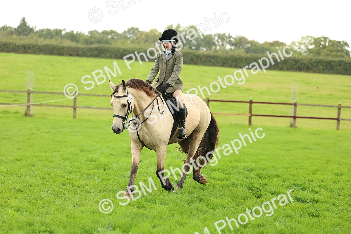 1I0A1497 - S32 - Mountain & Moorland Working Hunter Pony