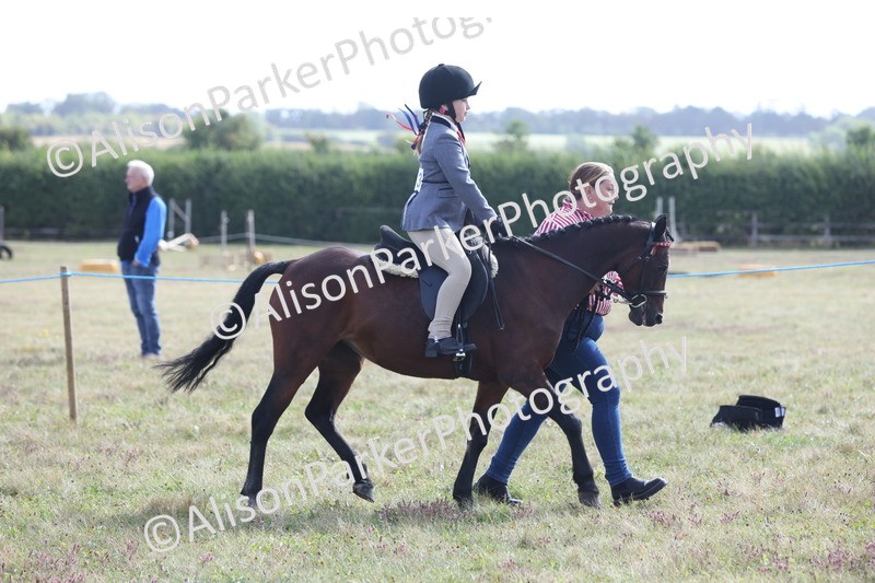 20250831-1073 - Class 15 - Ridden Veteran