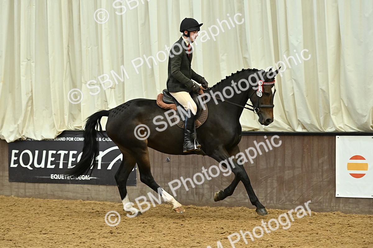 SBM_002054 - Class 23 - BSHA Ridden Show Hunter