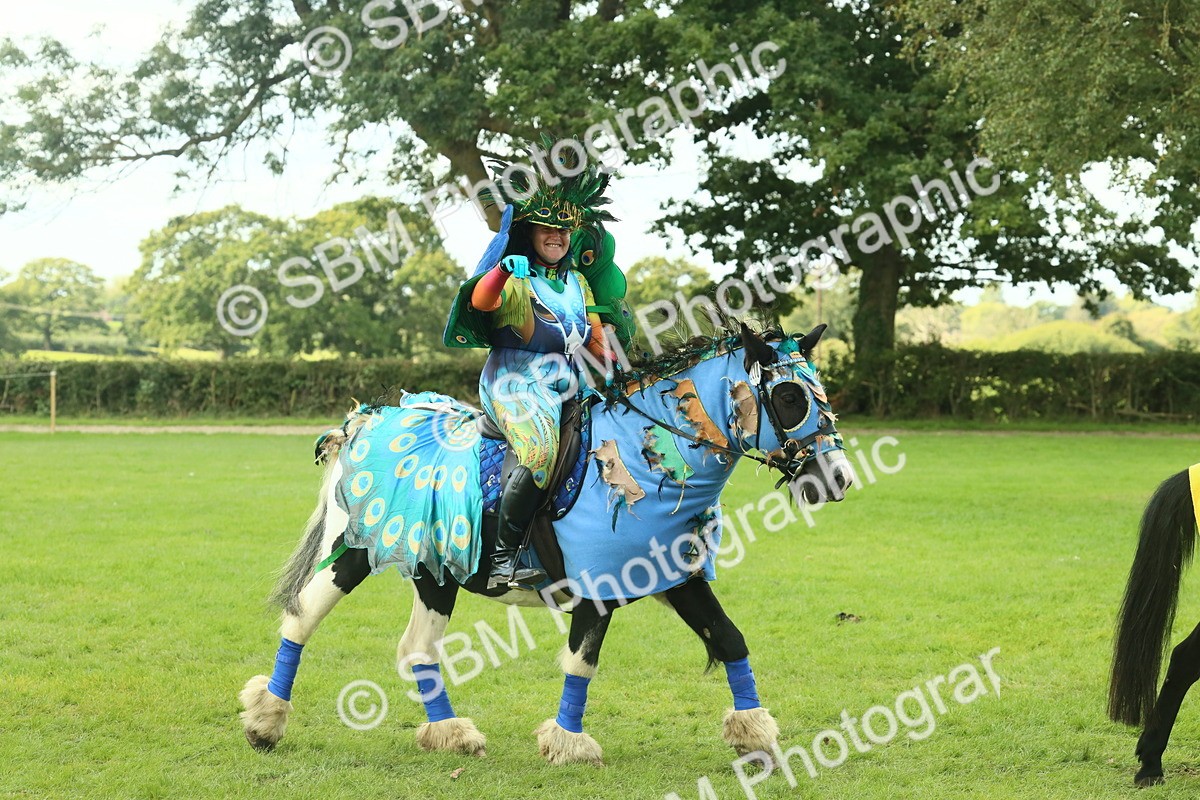 SBM_63692 - S35 - Fancy Dress Showing