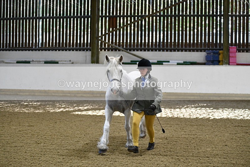 WJ5_3550 - Class 5 In Hand Veterans