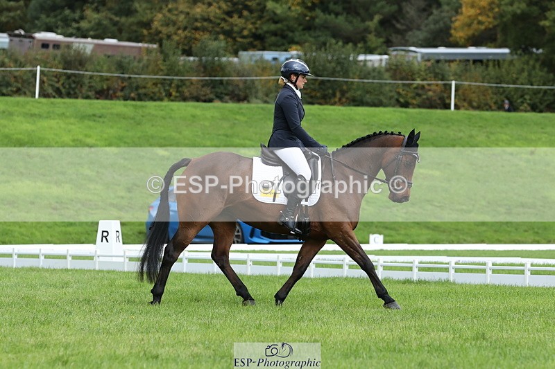 251023A-115009-03419 - E-384-Holly.Horton