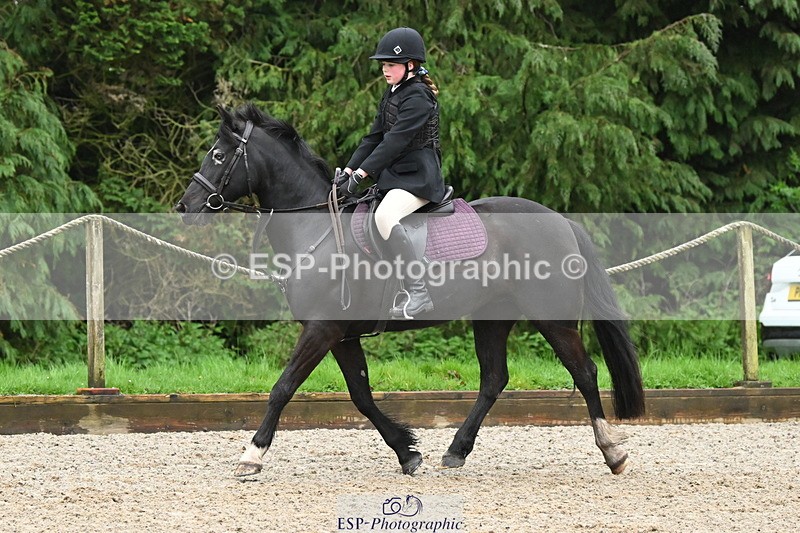 250418A-084952-00137 - NSEA GR 60cm