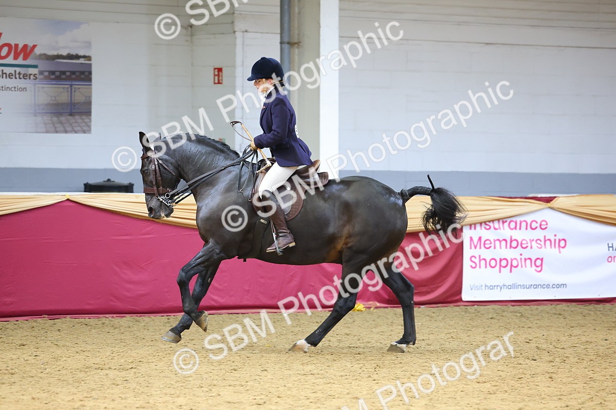 SBM_24154 - Class 905 - Supreme Final - Ridden Veteran