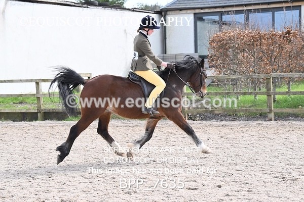 BPP_7635 - RING 1  (RIDDEN HORSES / IN HAND / VETERAN ETC)