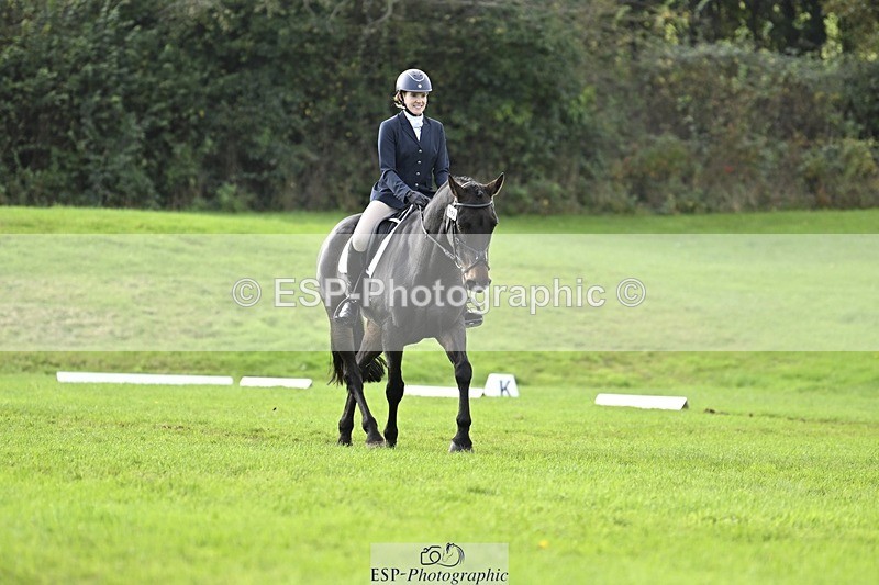 241025-121746-07060 - 376-Rachael.Hardman-WHIPPLETREE.HAILEYS.COMET