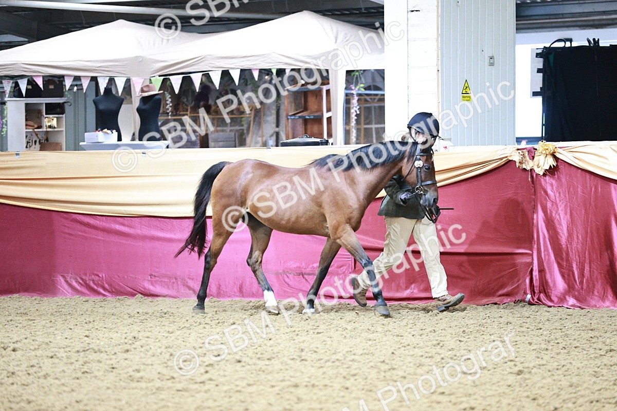 SBM_00187_Class 1a - Area - IH  Diamond - Sally Ashwin