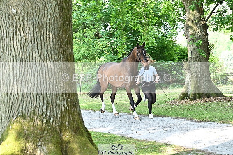 250521A-163859-01253 - C-262-Cosby.Green-LIBERO.D