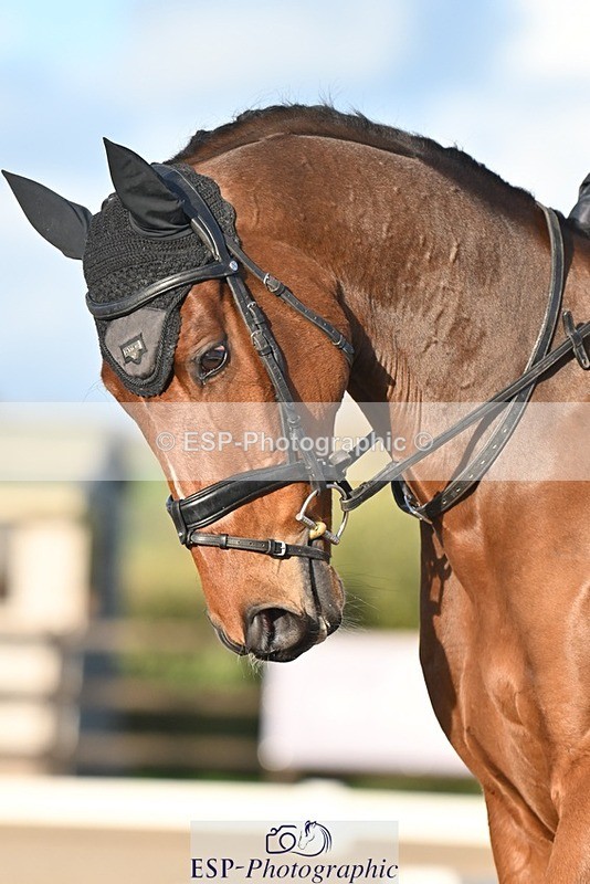 231105-145544-02196 - Cls 4 Novice 24 Start to 15.17 break