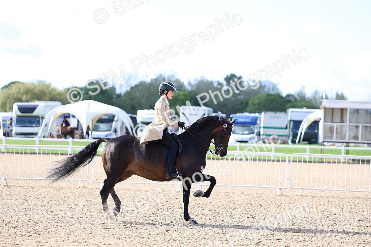 SBM_09153 - Class 303 - Ridden Pure Bred Horse Pony