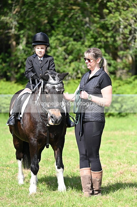 WJ7_0810 - Class 8 First Rally Pony