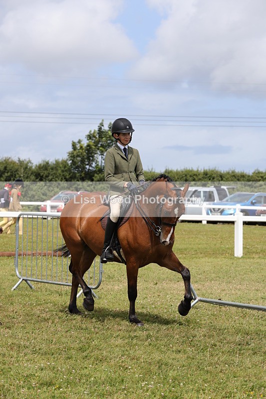 1X9A4217 - Plaited Ridden Championship