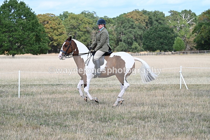 WJ7_6959 - Class 14 Ridden Coloured