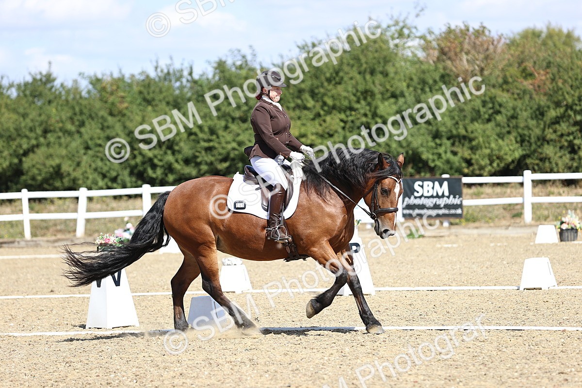 SBM_013957