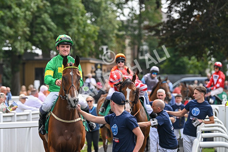 250725-Graham Lee IJF Stable Staff Stakes-C-3562 - The Graham Lee IJF Fund Stable Staff Stakes