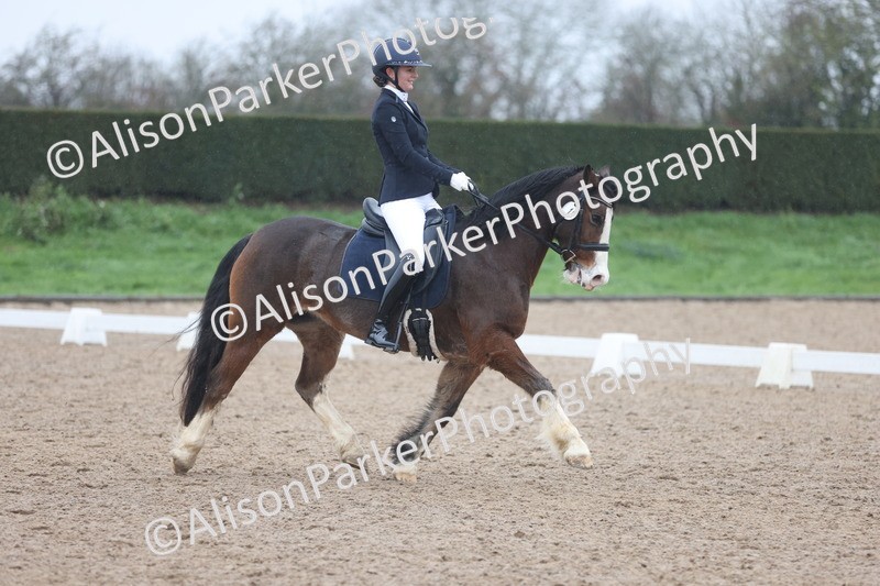 20251207-0550 - Class 3 - Novice 5