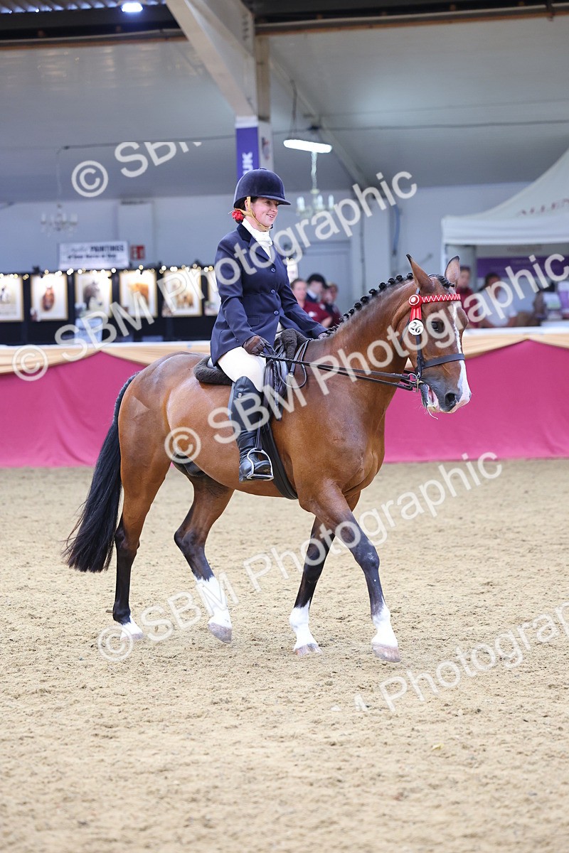 SBM_23756 - Class 904 - Supreme Final Ridden Diamond