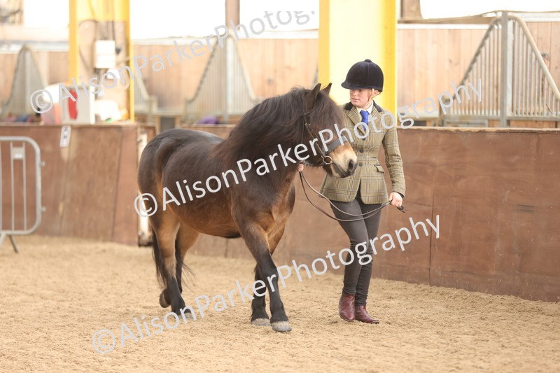 20251109-0578 - Class 22 - Geldings 4 Years and over