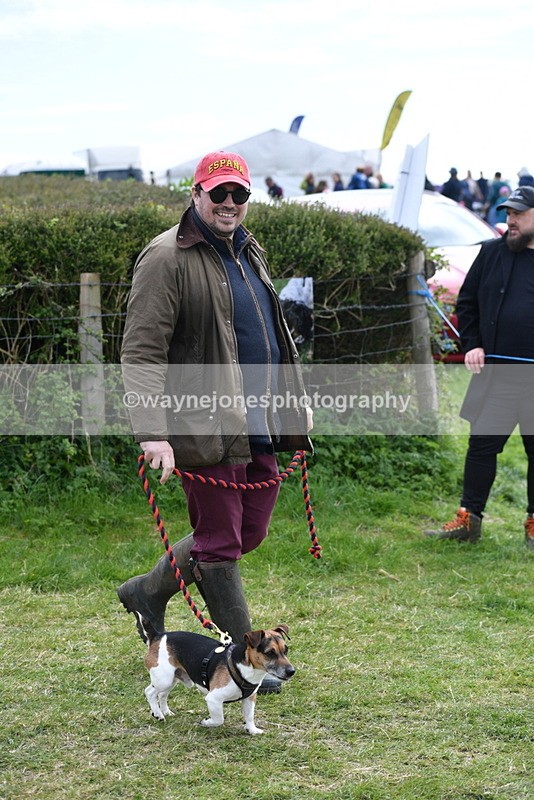 WJ5_0263 - Class 7 Best Terrier