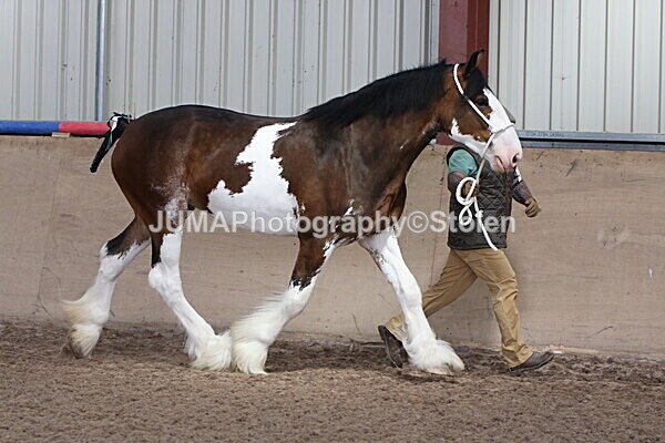 SIAL0214 - Indoor Classes