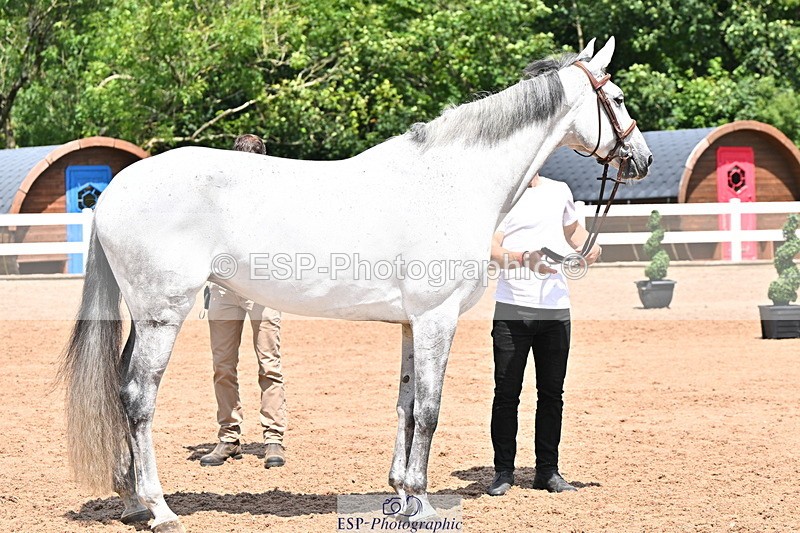 240718A-105310-01651 - Trot Up 1pm to 2pm