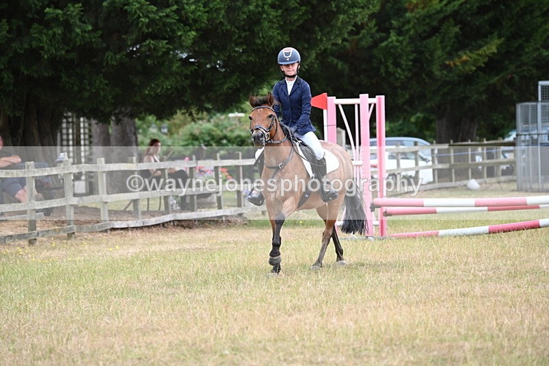 WJ6_9990 - Class 13 Novice Jumping 60cm
