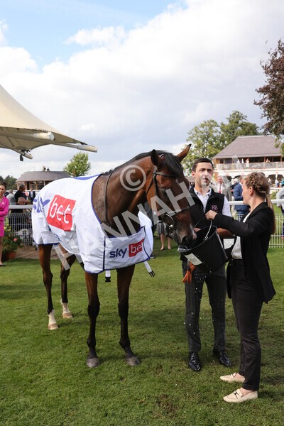 yr20082022r3-44 - Race 3 3.00pm Sky Bet City of York Stakes