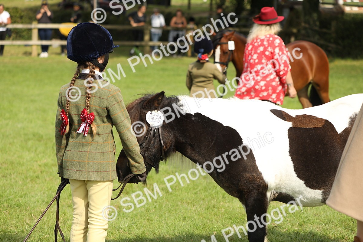 SBM_67748 - S39 - Junior Handler 8  Years & Under