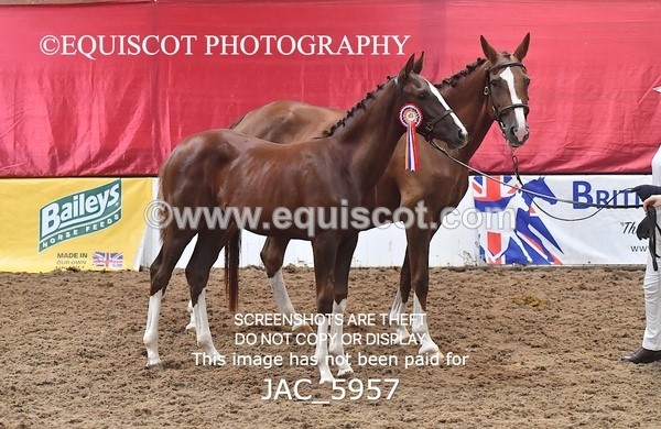 JAC_5957 - 11 Pandora of Westoak