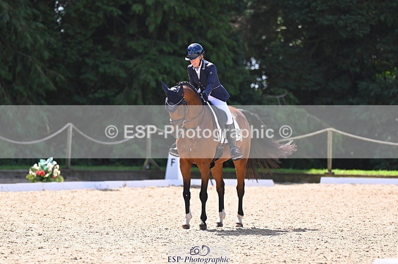 240809-111619-00543 - 133-Dawn.Bear-First.Taylor.Made