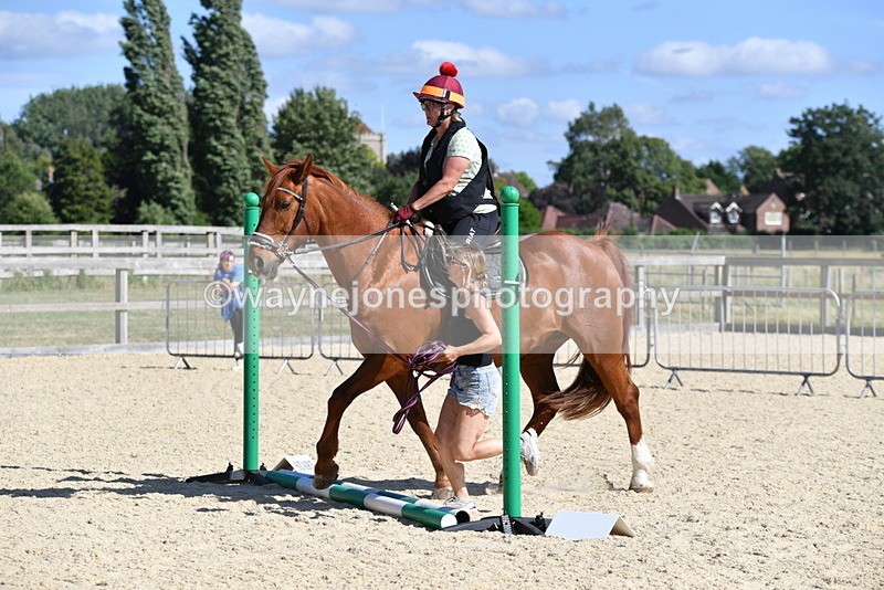 WJ5_5303 - Poles on the Floor