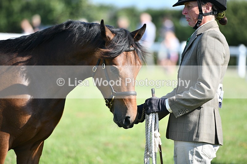 DSC_5886 - Class 50: NPS M&M Yearling
