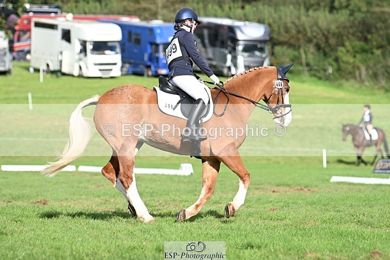 231020-143832-10699 - 499-GORFELYN.PETER.THE.GREAT-Charlotte.Bellamy-DR