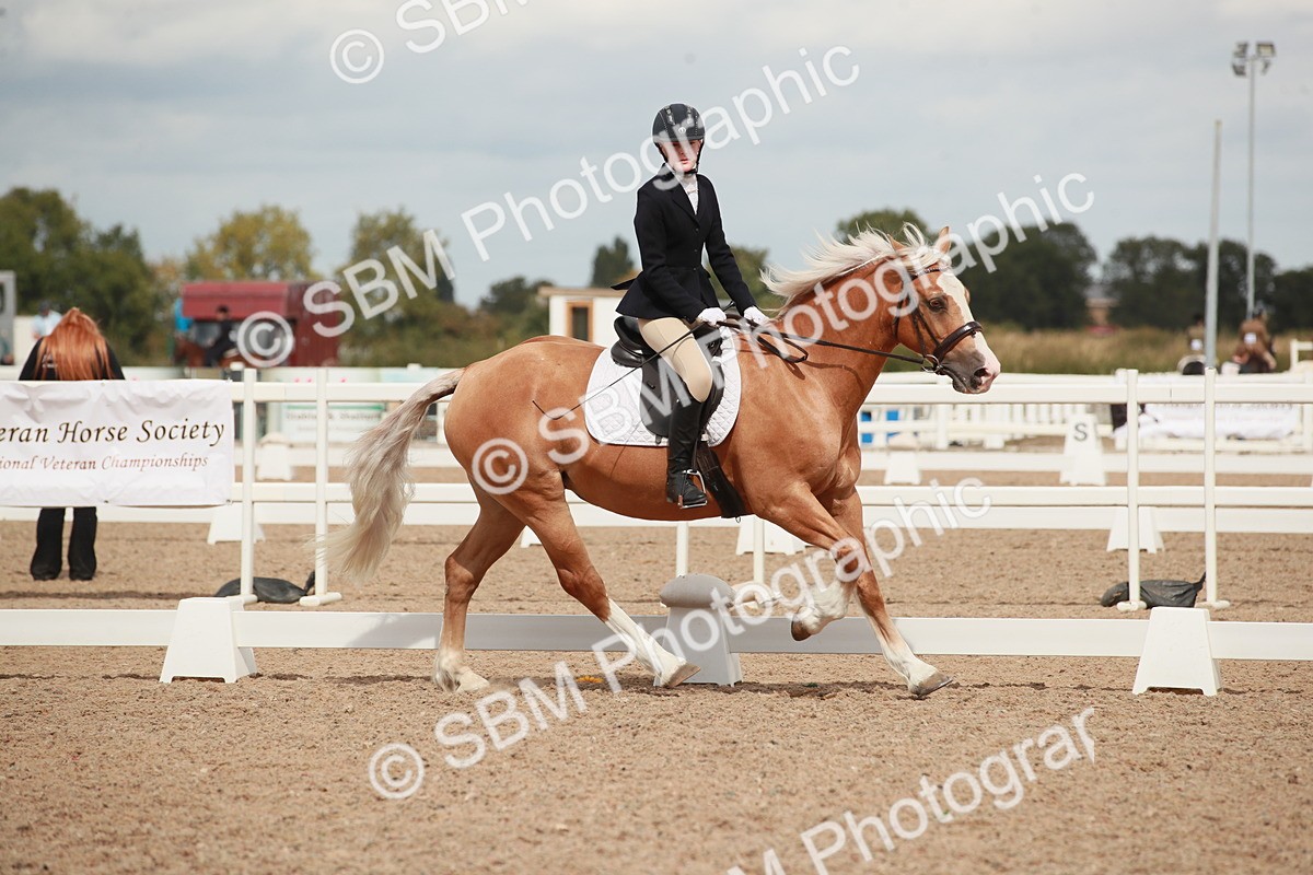 SBM_05894 - Class 32 - Novice 1