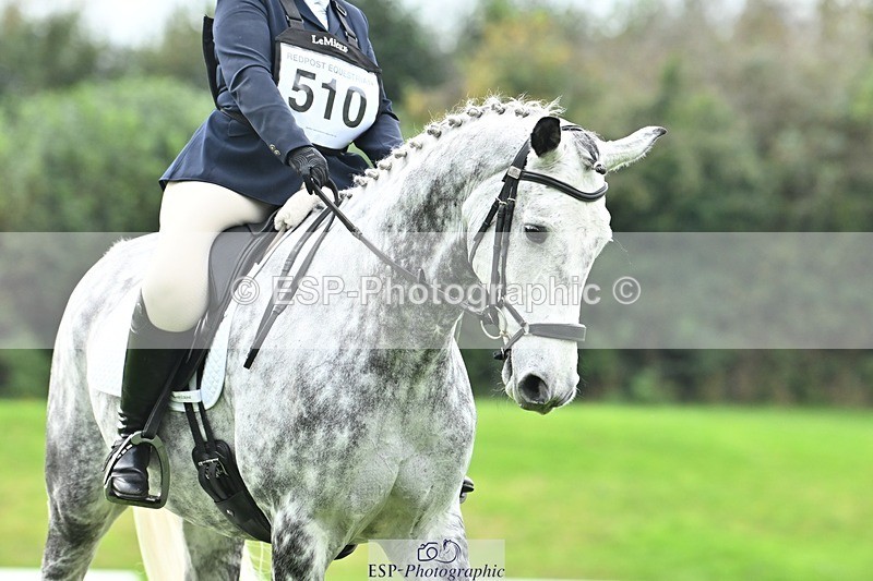 241024-115031-02504 - 510-Kathryn.Virjee-BROWNSTOWNS.SEAWATCH