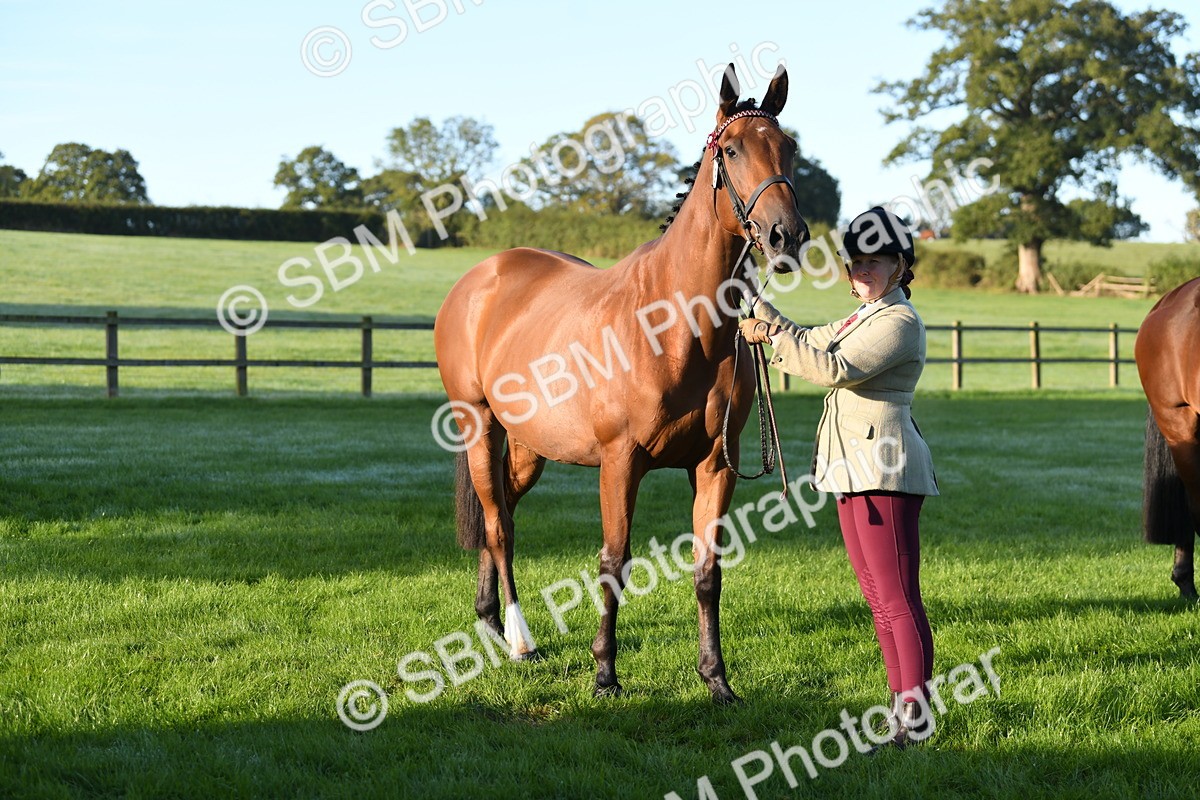 SBM_32771 - S15 - Condition & Turnout In Hand
