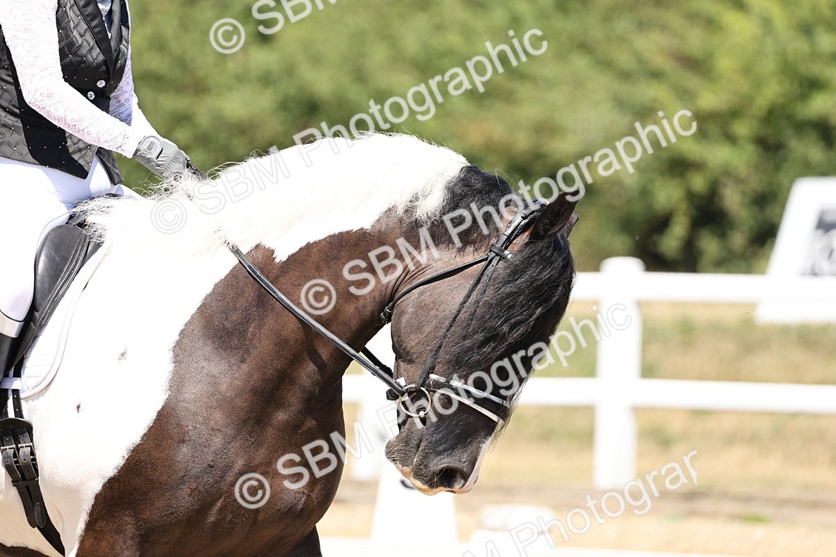 SBM_001577 - Prelim 4 - 11.25-13.24