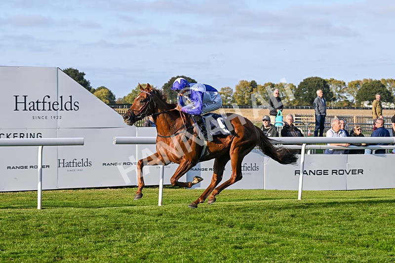 180924-Race 8-Inappropriate-5405 - Race 8