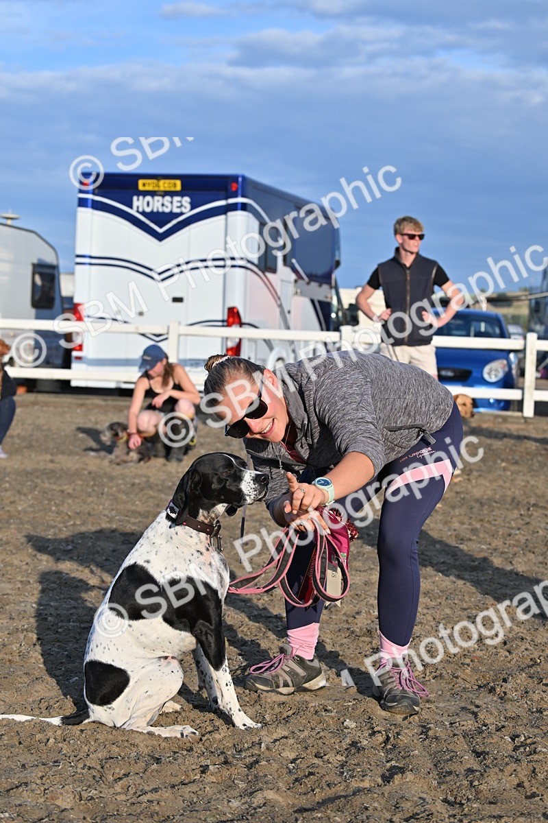 SBM_09460 - Lorry Dogs