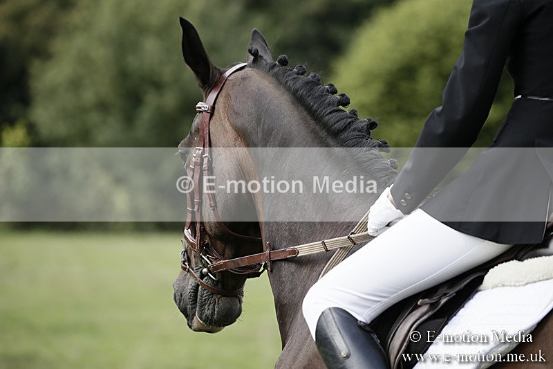 BVR090918 209 - BVRC Dressage and Show Jumping 09/09/18