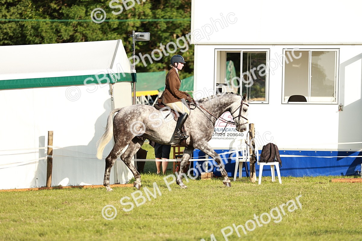 SBM_20425 - Class 117-119 - Sport Horse Working Hunter