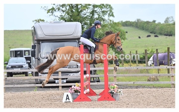 BPP_0815 - CLASS 2 FRI British Novice/ 90cm Open