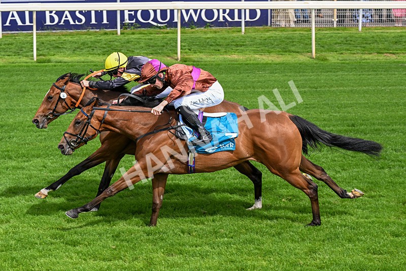 120626-Race 4-Big Negotiator-0247 - Race 4 15.35pm Juddmonte EBF Fillies' Restricted Novice