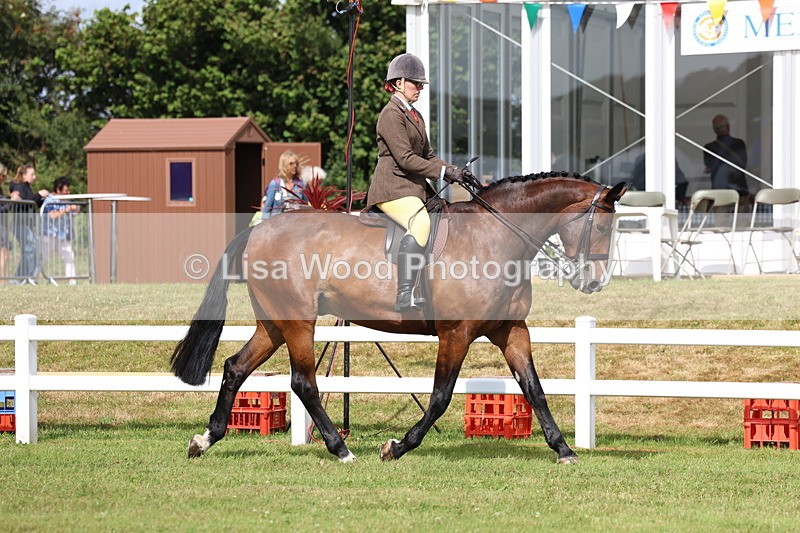 3E7A9286 - Class 4: Rising Star M/H Hunter