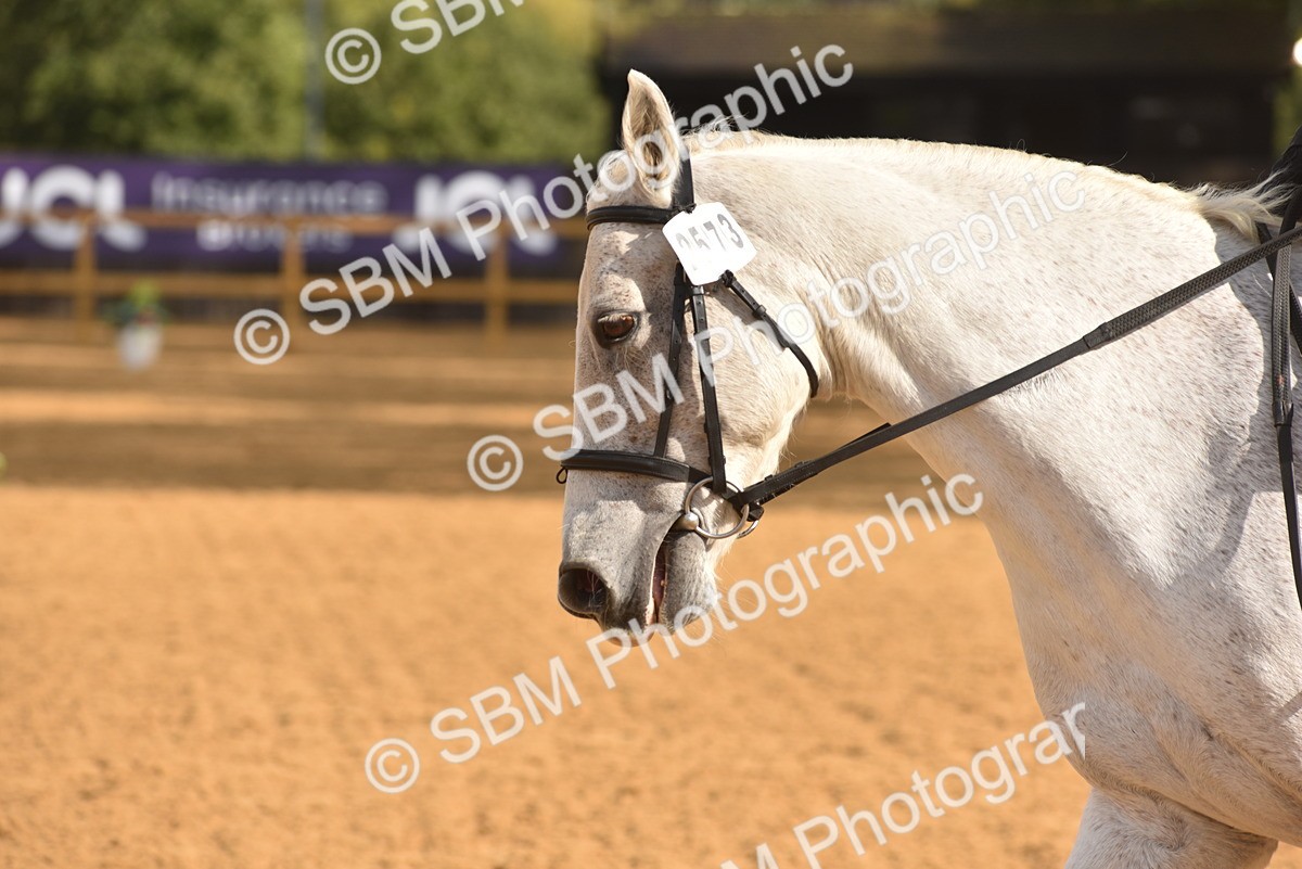 SBM_02174 - D7 - Small Tour Championship Prelim 2