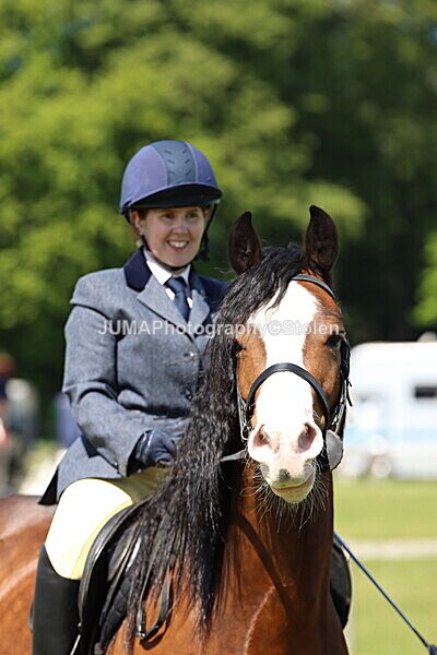 IMG_3543 - Working Hunter