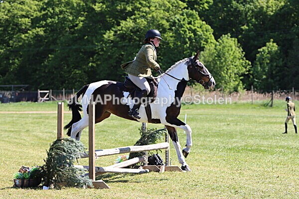 IMG_4083 - Working Hunter