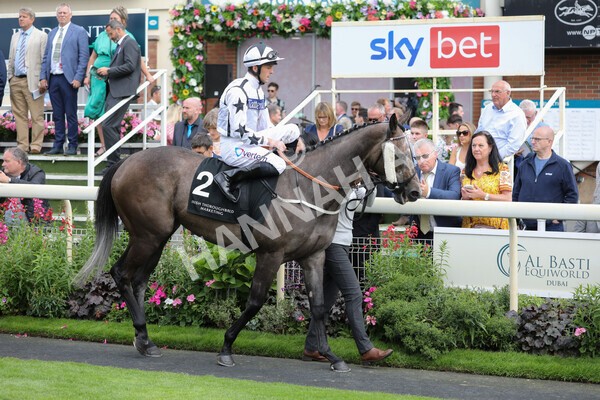 yr17082022r6-9 - Race 6 4.45 pm Celebrate ITM’s 200th IRE Voucher Winner Stakes