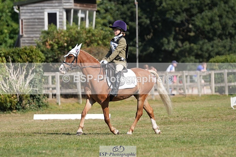 250823A-104859-28124 - Arena A